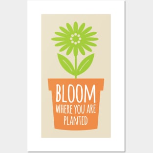 Bloom Where You Are Planted Posters and Art